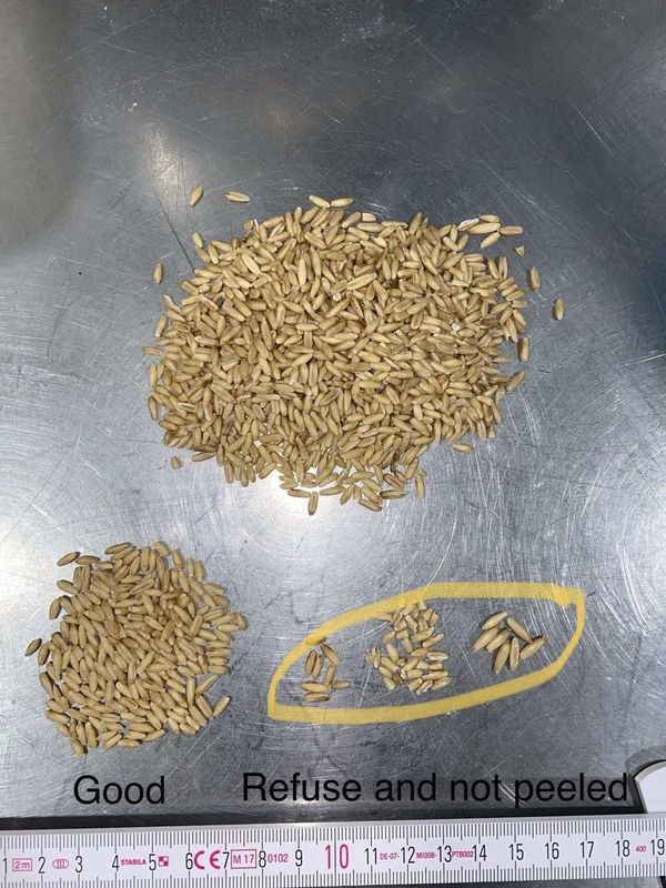 Hoge Productie 8 de Kleurensorteerder van de Hellingentarwe, CCD-Tarwesorteermachine