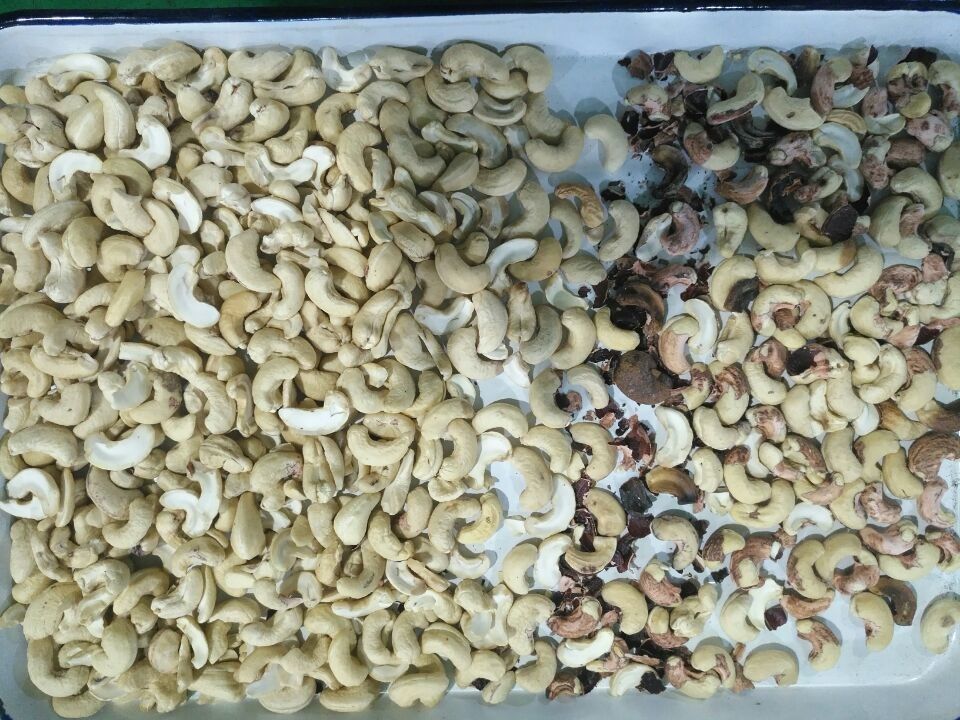 De Populairste van de de Kleurensorteerder van de 10 Hellingsamandel van de de Cashewnootsorteermachine Machines van de de Nootverwerking