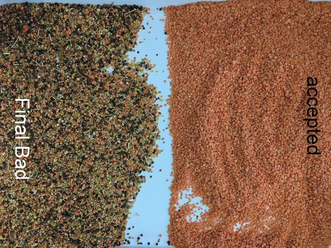 Zwarte Linze Dal Color Sorter 8 hellingen 512 Kanalen met LEIDEN veranderlijk licht