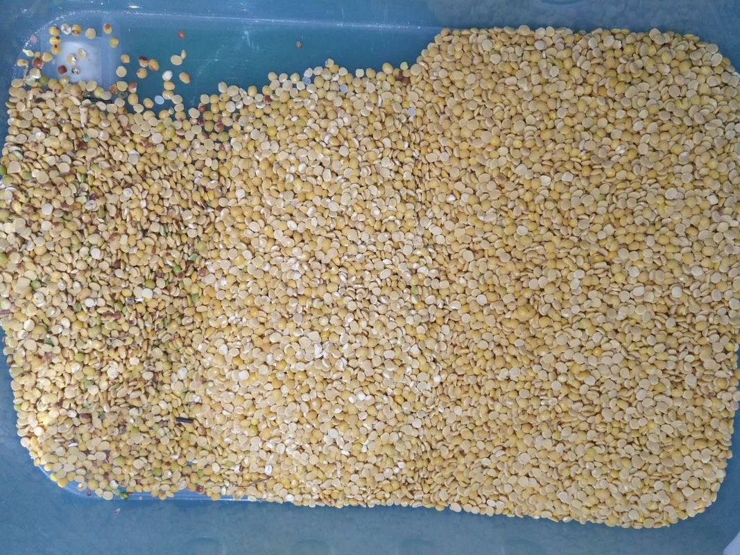 Zwarte Linze Dal Color Sorter 8 hellingen 512 Kanalen met LEIDEN veranderlijk licht