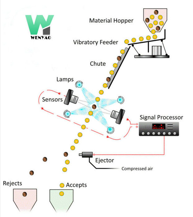De intelligente Sorteerder van de Pecannootkleur met hoge snelheid RGB Nir Cameras