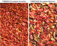 Wenyao Chute Type AI Interintelligent Droog Chili Sorteren Rode Chili Separatie Zelfreinigende functie Kleur Sorter