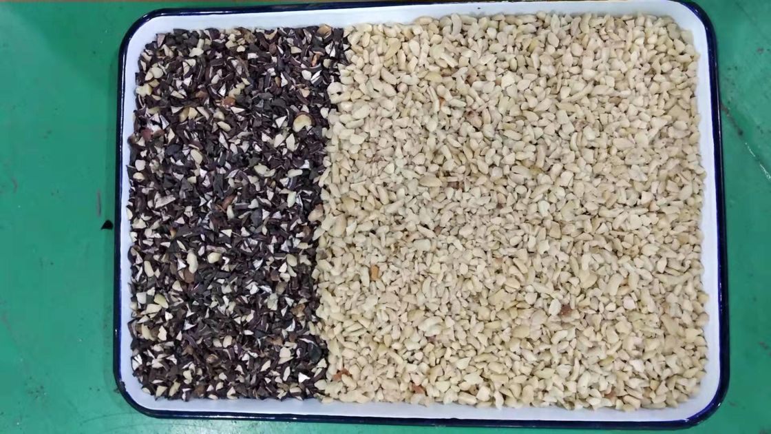 Van de de Filterkaars van Japan CKD de Sorteerder van de de Notenkleur voor het Scheiden van Witte en Zwarte Kleur
