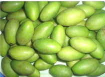 WENYAO 5400 Pixel Olive Sorting Machine, RGB Optische Kleurensorteerder