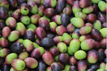 WENYAO 5400 Pixel Olive Sorting Machine, RGB Optische Kleurensorteerder