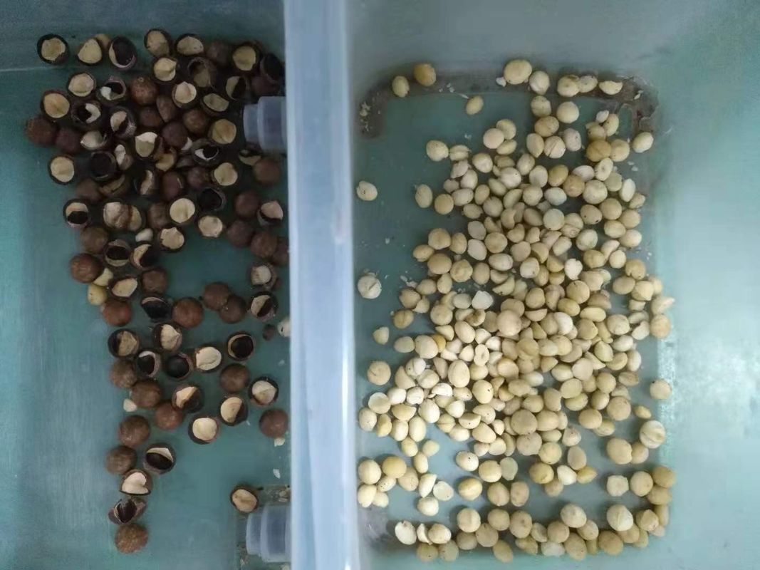 Intelligente het Scherm van Wenyao Color Sorter With Touch van de Wifiafstandsbediening