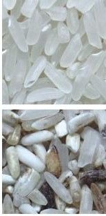 Makkelijk te bedienen koffie kleur sorteren machine met roestvrij 304 food grade hopper