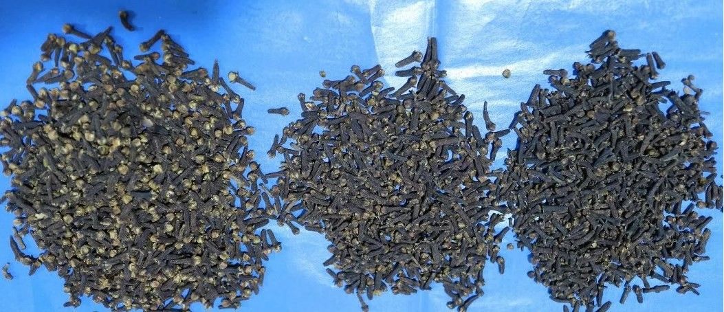 De hoge Sorteerder van de Nauwkeurigheidsccd Multifunctionele Kleur 2 Jaar Garantie