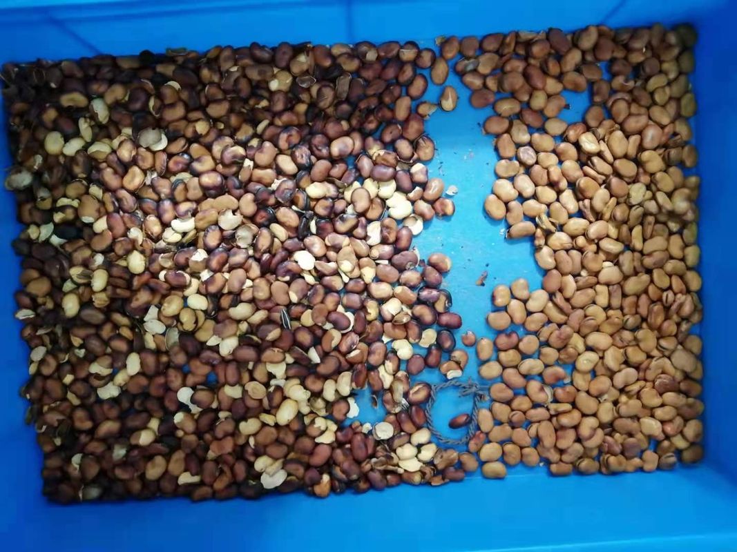 Brede Bean Color Separator With High-Resolutie Monochromatische Camera
