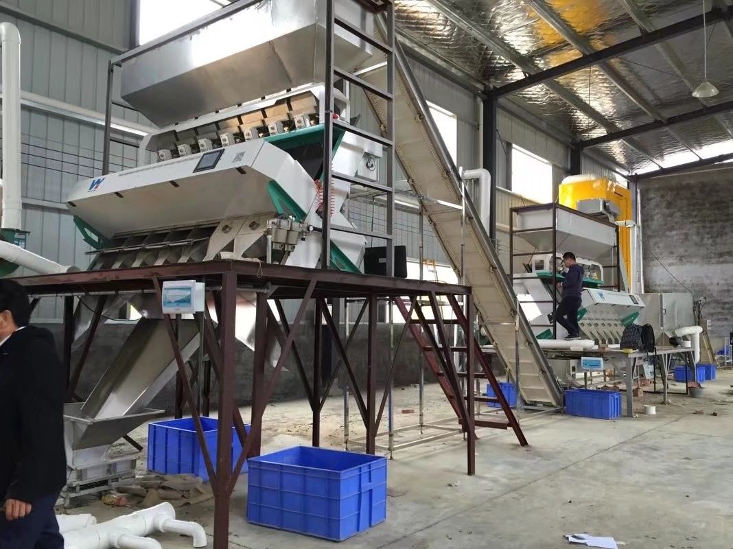 7T/H RGB Camera's van WENYAO Color Sorter Advanced met 5400 Pixel