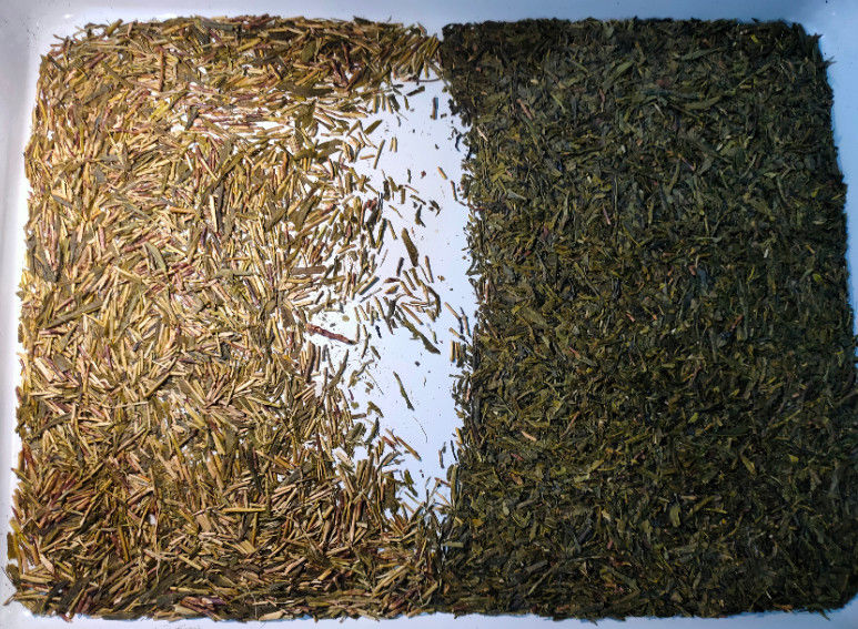 WENYAO Tea Sorting Machine High-Capaciteit met de LEIDENE Sensor van CCD