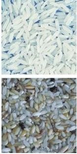 Makkelijk te bedienen koffie kleur sorteren machine met roestvrij 304 food grade hopper