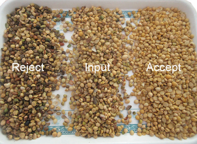 Automatische CCD RGB Bean Color Sorter