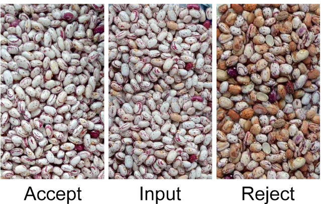 Automatische CCD RGB Bean Color Sorter