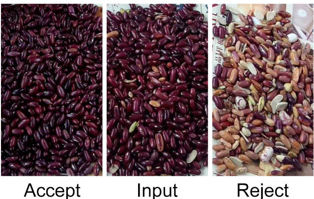 Automatische CCD RGB Bean Color Sorter