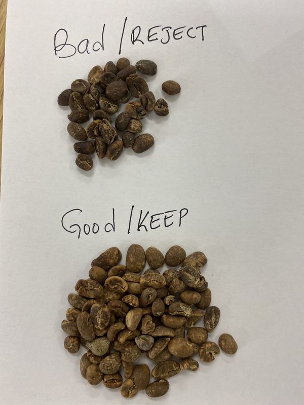 Multifunctionele de Kleurensorteerder van Ccd van 8 Hellingenkanalen voor Koffieboon