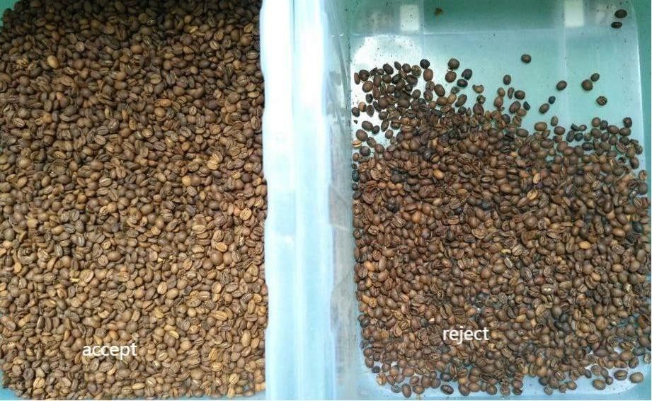 Sorteerder van de 128 Bonenkleur van de Kanalen de Groene Koffie voor Cherry Separating