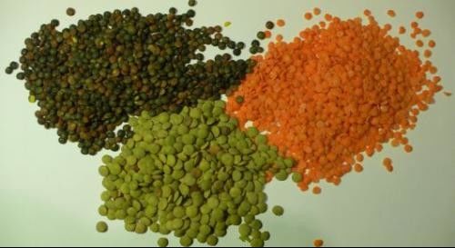 Van de de Sorteermachinelinze van de linzekleur de Kleurensorteerder Dal Sorter Machine
