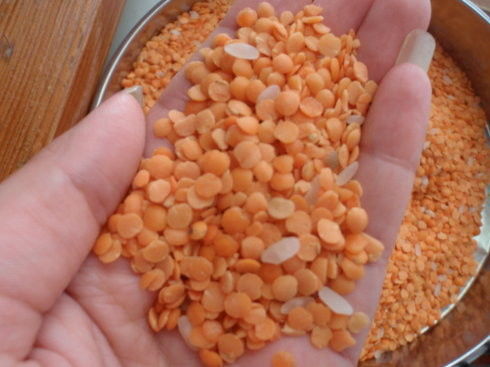 Van de de Sorteermachinelinze van de linzekleur de Kleurensorteerder Dal Sorter Machine
