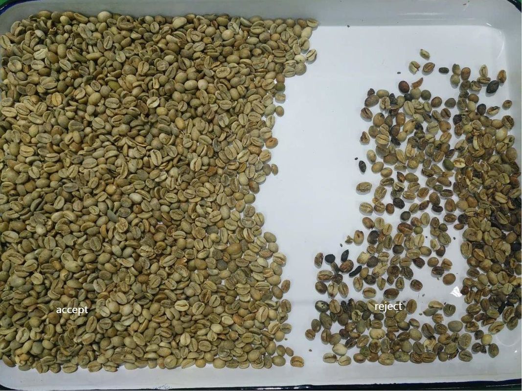 Niercacao Bean Color Sorter Machine With 400 Pixel CCD