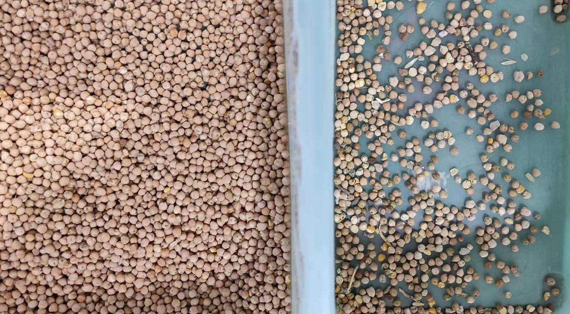 800kg/H de Sorteerder van de bonenkleur met 5400 de Camera van de Pixel Hoge Resolutie CCD