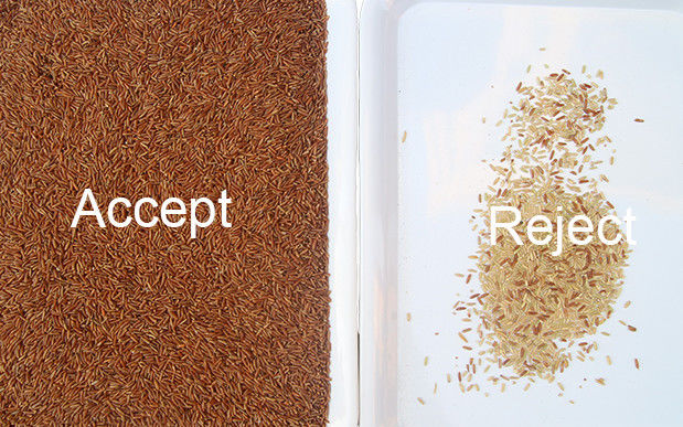 5 Tons/H-de Sorteermachine van de Sorteerderspaddy broken glutinous rice color van de Rijstkleur