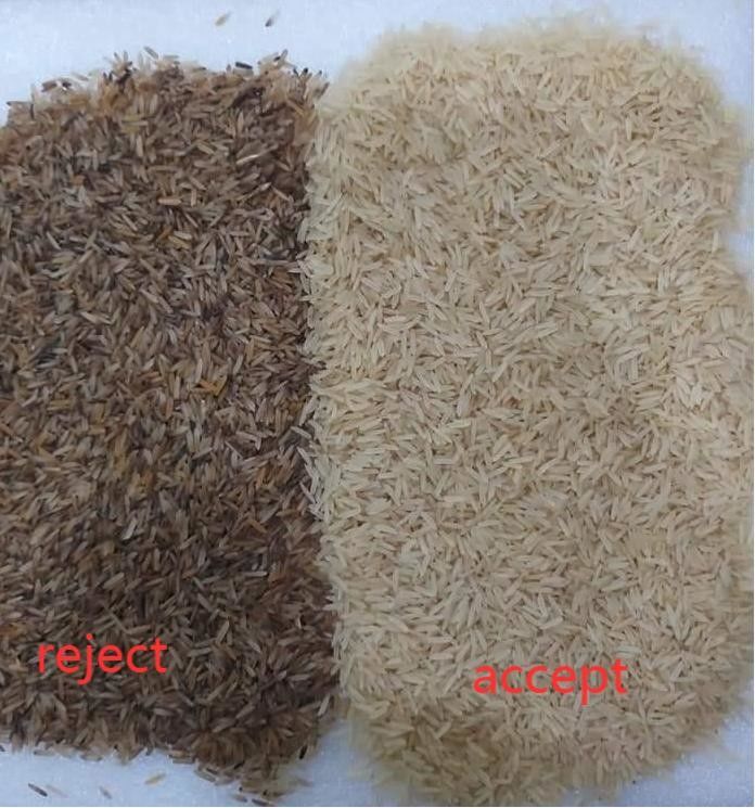 Wenyao Kleur sorteermachine Precisie sortering Instelbare parameters voor rijst sorteeroperaties Kleursorteerder