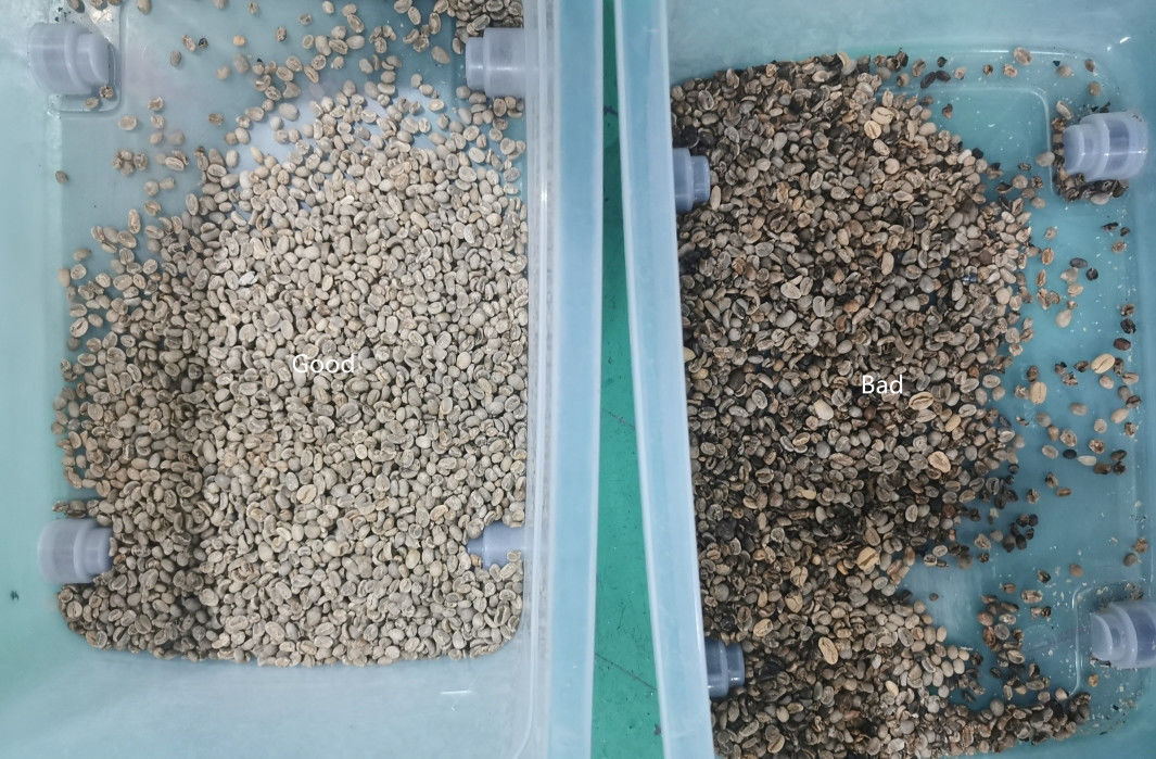 Ruwe of Geroosterde Koffie Bean Color Sorter 1 Helling 64 Kanalen