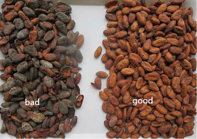De intelligente Trillingssorteerder van de de Sesamkleur van de Voederkoffie met CCD-Sensor