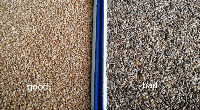 Wenyao 2 de Sorteerder van de de Korrelkleur van de Hellingentarwe met 5340 Pixel CCD