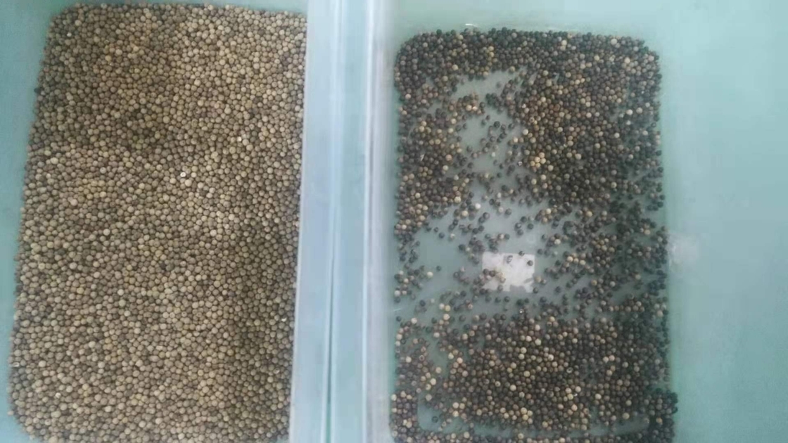 Graanquinoa van de de Rijstkleur van de Tarwesesam de Sorteerder Multifunctionele Automatische Optische Ccd