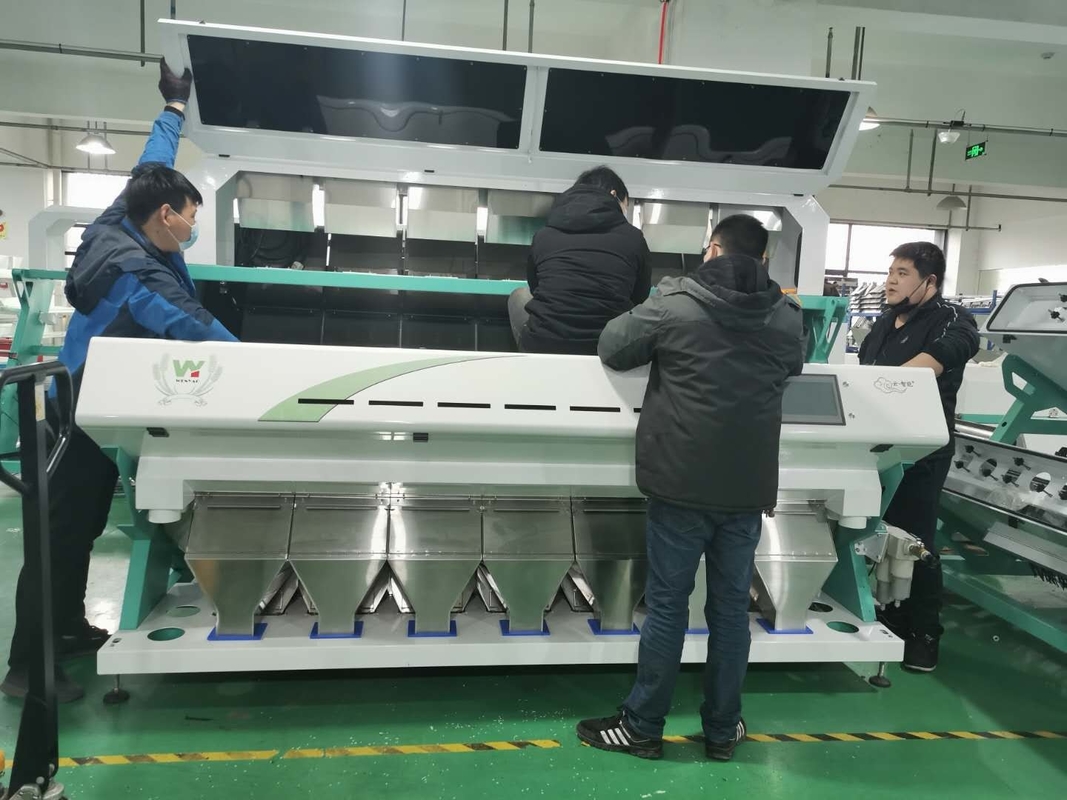 Van het Knoflookoptica van 448 Kanalen Plantaardige Olive Fruit Sorting Machine Unpeeled de Kleurensorteerder