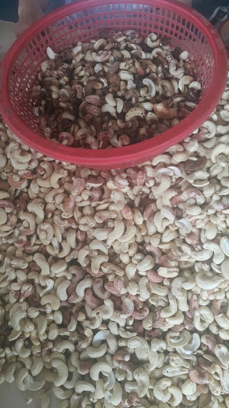 Mini Cashew Color Sorter Cashew-Kleurensorteermachine met 2 RGB Camera's 32 Kanalen