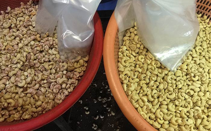 Mini Cashew Color Sorter Cashew-Kleurensorteermachine met 2 RGB Camera's 32 Kanalen