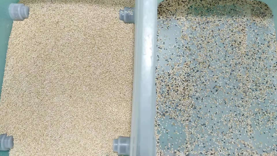 Graanquinoa van de de Rijstkleur van de Tarwesesam de Sorteerder Multifunctionele Automatische Optische Ccd
