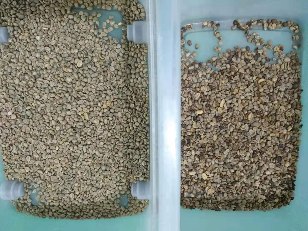 3 hellingen 192 Kanalenkoffie Bean Color Sorting Machine Wenyao