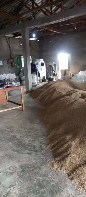 Mini Coffee Bean Color Sorter-Machine 32 Helling met FPGA-Spaander