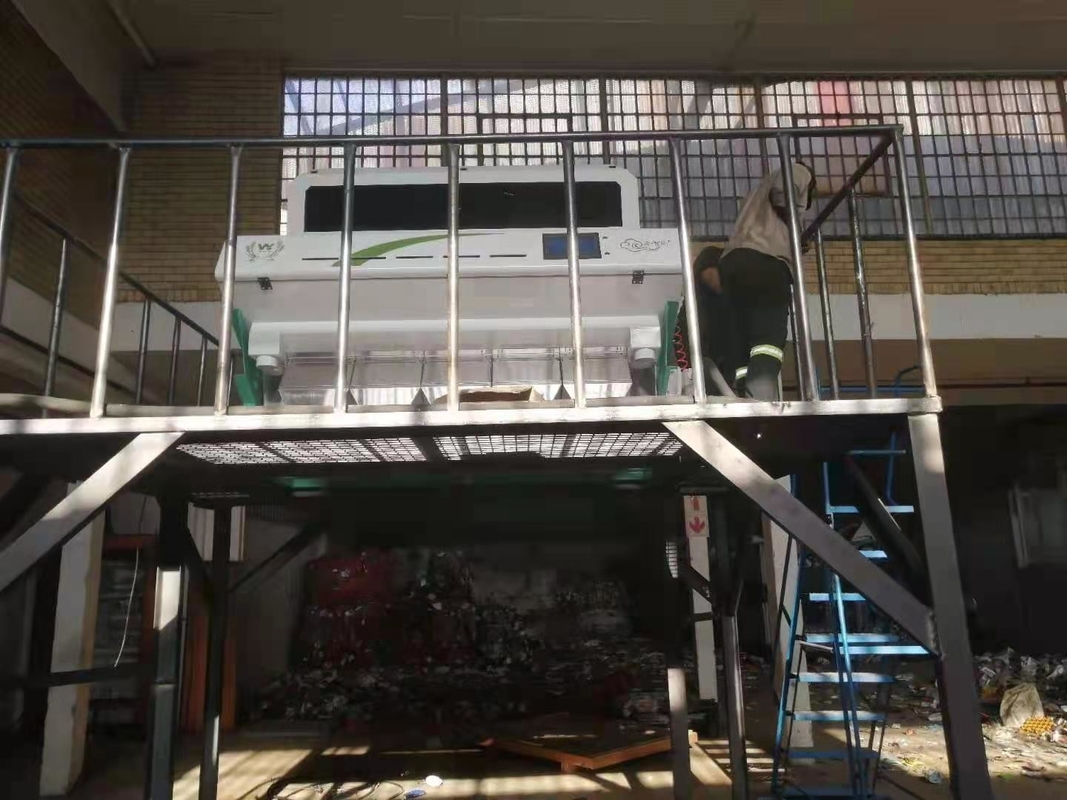 Rozebottel Berry Mustard Seed Color Sorter Vijf Hellingen