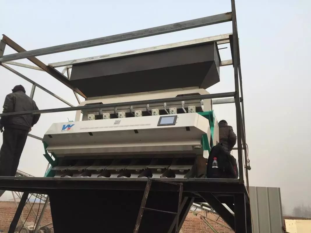 Geblancheerde de Sorteerdersmachine van de Rijstkleur met Metaaluitwerper