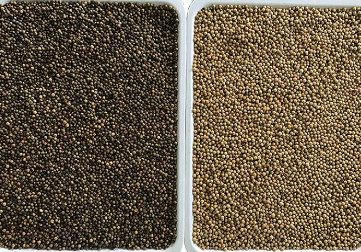Graanquinoa van de de Rijstkleur van de Tarwesesam de Sorteerder Multifunctionele Automatische Optische Ccd