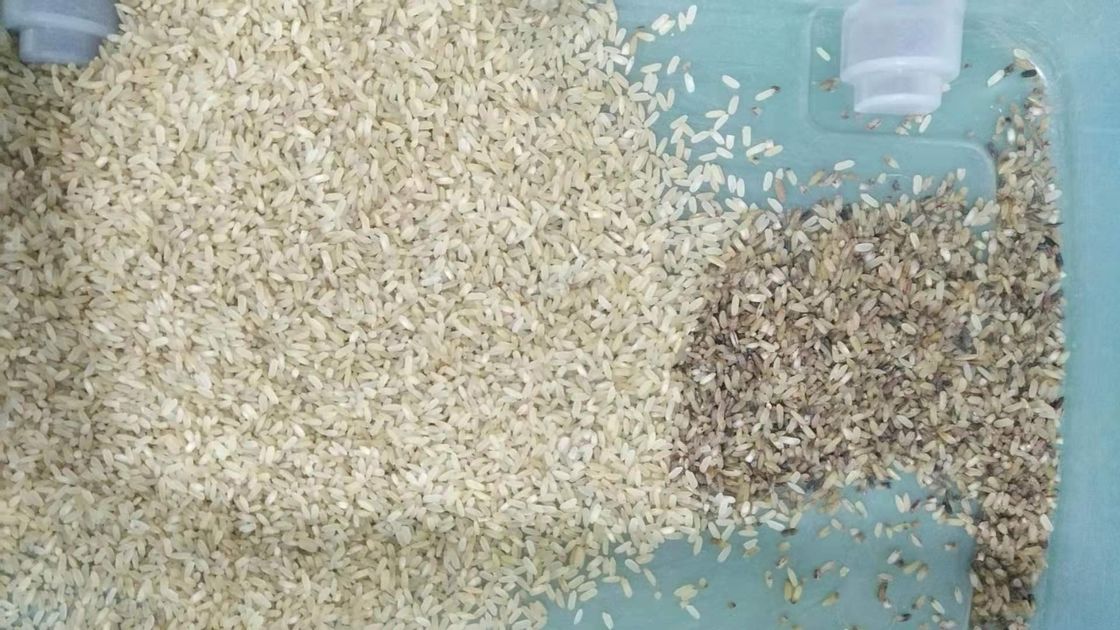 Machine 32 van CCD Mini Brown Rice Color Sorting Kanalen