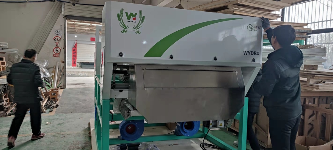 Rgb de Sorteerders Hoge Capaciteit van de Metaalkleur voor het Zink van het Koperaluminium