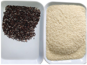 Machine 32 van CCD Mini Brown Rice Color Sorting Kanalen