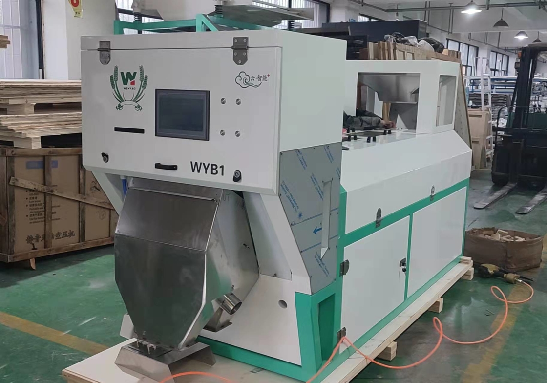 De plastic Abs Pp Sorteermachine van het Huisdierenvlokken van Pvc voor Afval Recyclingsinstallatie