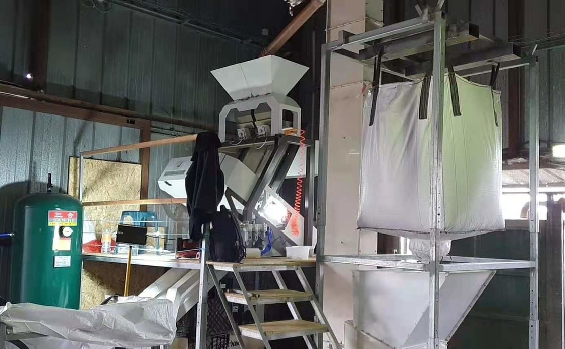 Macadamia Nootzaden Bean Grain Color Sorting Machine 1 Hellingen 64 Kanalen