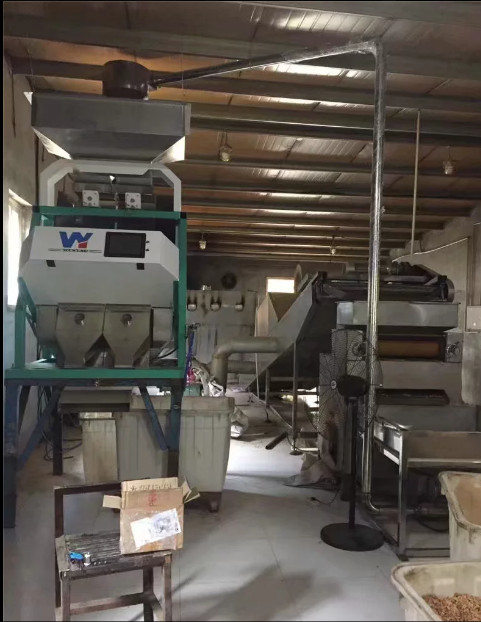 Macadamia Nootzaden Bean Grain Color Sorting Machine 1 Hellingen 64 Kanalen