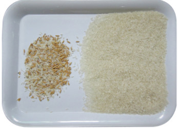 De intelligente Mini Rice Color Sorter-Sorteermachines van de haverkleur voor sorteerderskleur