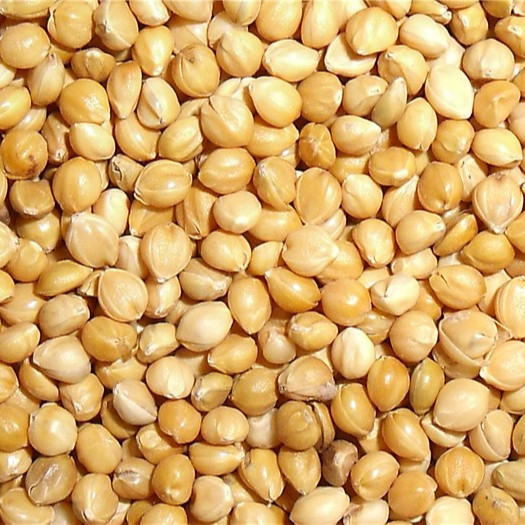 De Hoge Capaciteit Mini Millet Color Sorter Machine van CCD voor Rijstfabrikantinstallatie