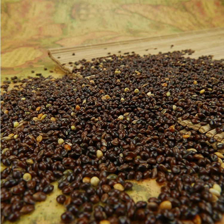 De automatische Sorterende Bonen van Koffiebean color sorter machine for