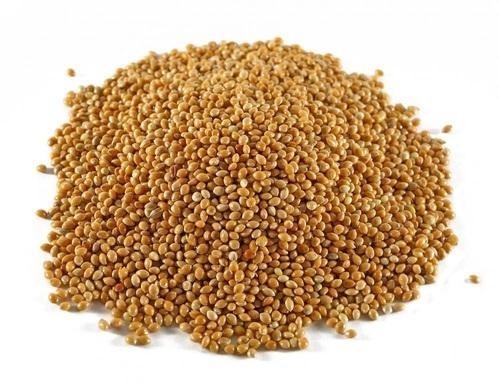 Automatische CCD-de Rijstsorteerder Macine van de Kleuren Chinese die sorghum in Rijstfabrikantinstallatie wordt gebruikt